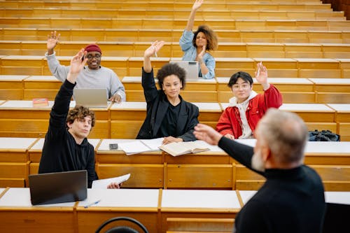 Free Students Raising Their Hands in a Classroom Stock Photo