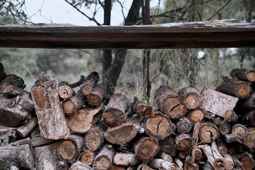 Imagine de stoc gratuită din @în aer liber, lemn, lemne de foc