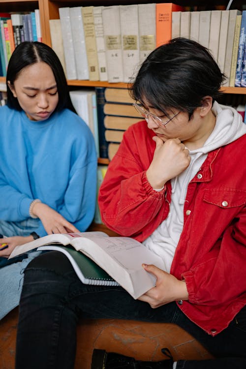 Foto d'estoc gratuïta de aprenent, assegut, biblioteca