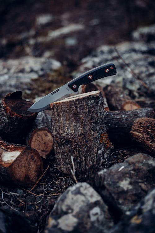 Free Sharp knife embedded in stump of tree Stock Photo