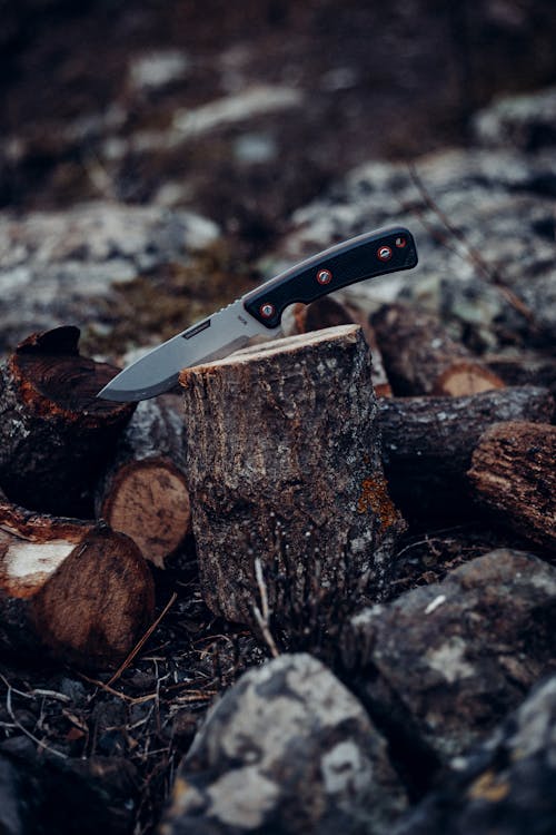 Sharp knife embedded in stump of tree