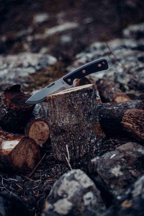 Free Closeup of sharp travel knife with sharp blade inserted in stump of tree Stock Photo