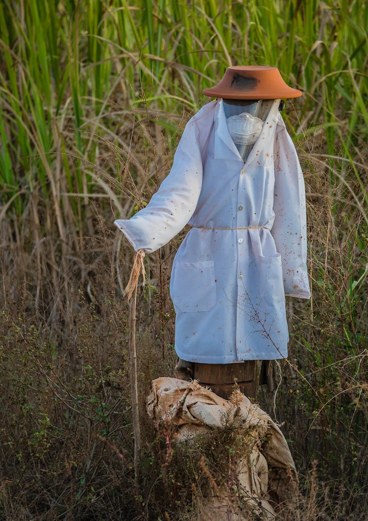 A Scarecrow On A Cropland