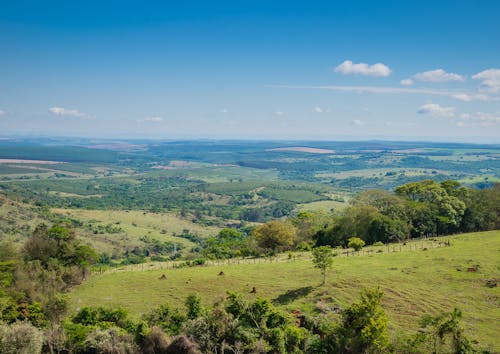 Beautiful Summer Landscape of Grassland from a Hill 