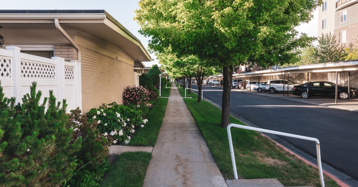 A peaceful residential street lined with trees and houses, featuring a sidewalk and parked cars.