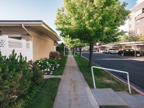 A peaceful residential street lined with trees and houses, featuring a sidewalk and parked cars.