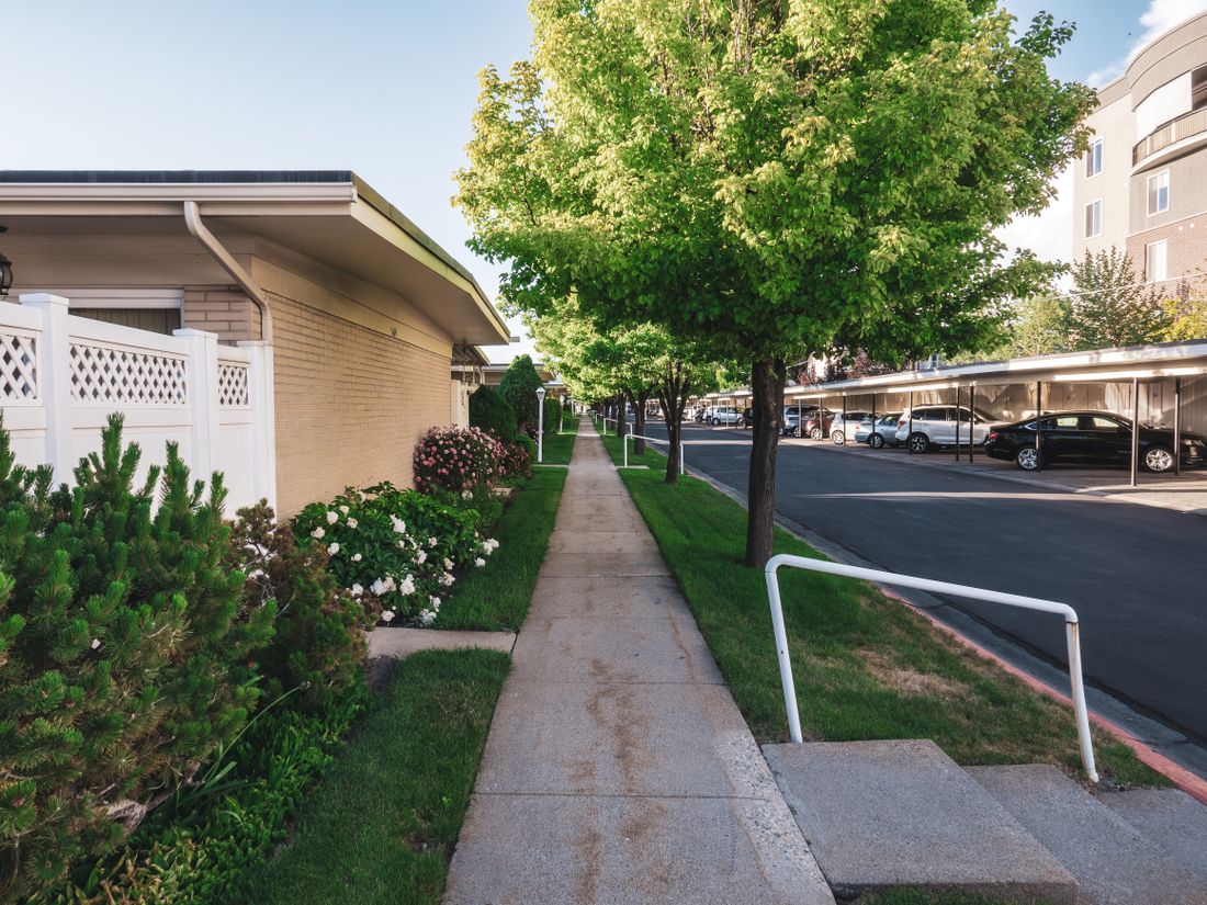 Peaceful residential street lined