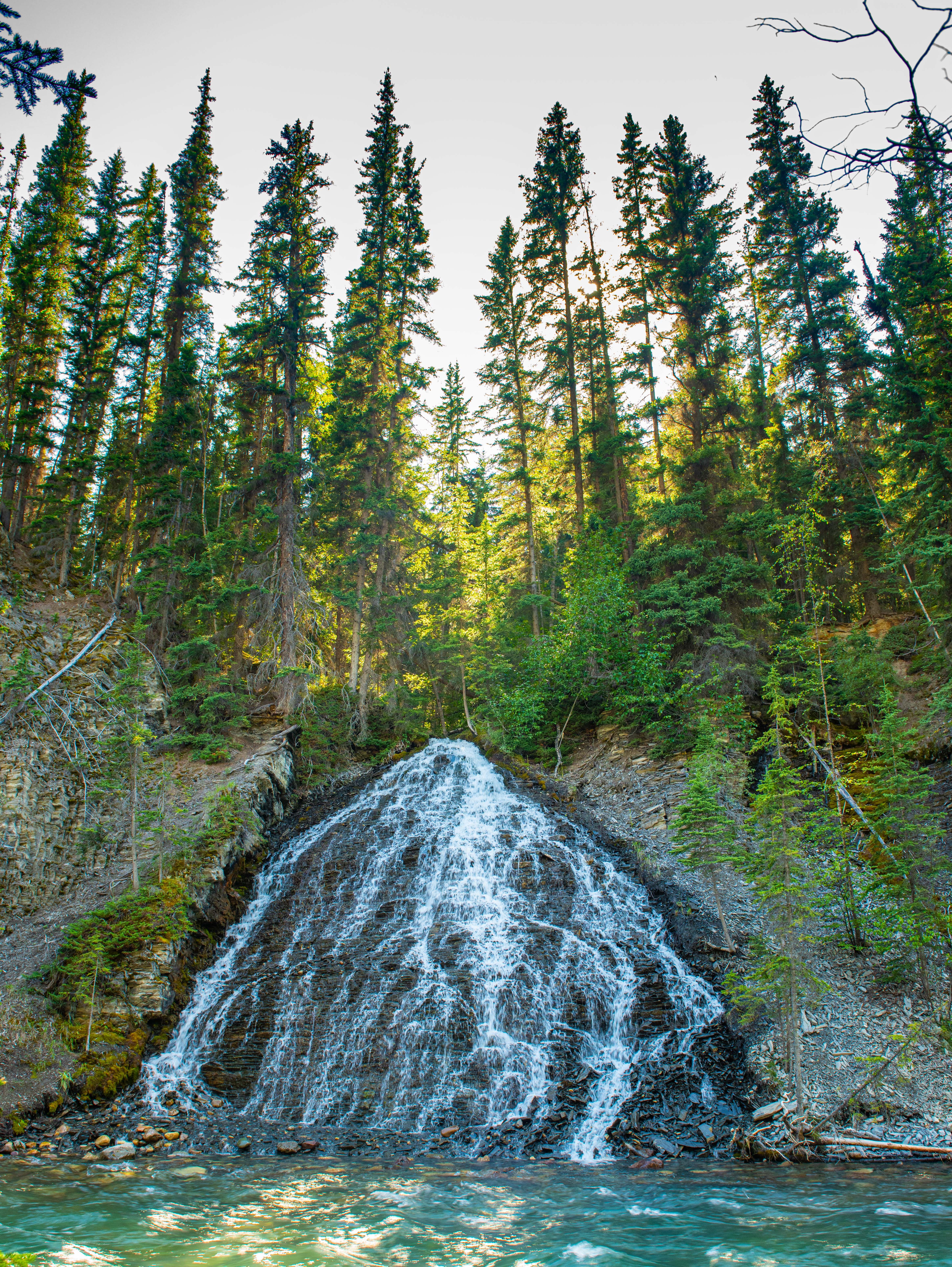 A Waterfall in the Forest · Free Stock Photo