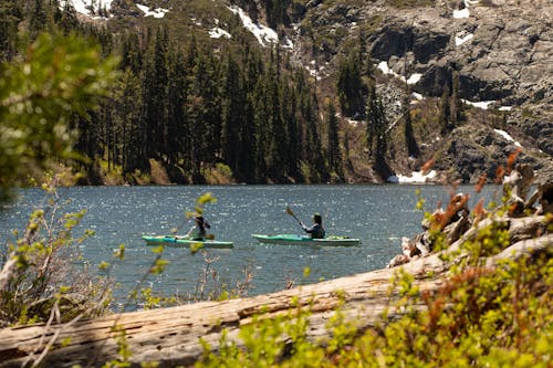 Photos gratuites de belle nature, côté lac, faire du kayak