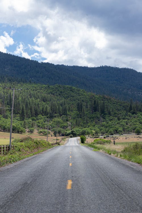 Photos gratuites de arbres, autoroute, champs