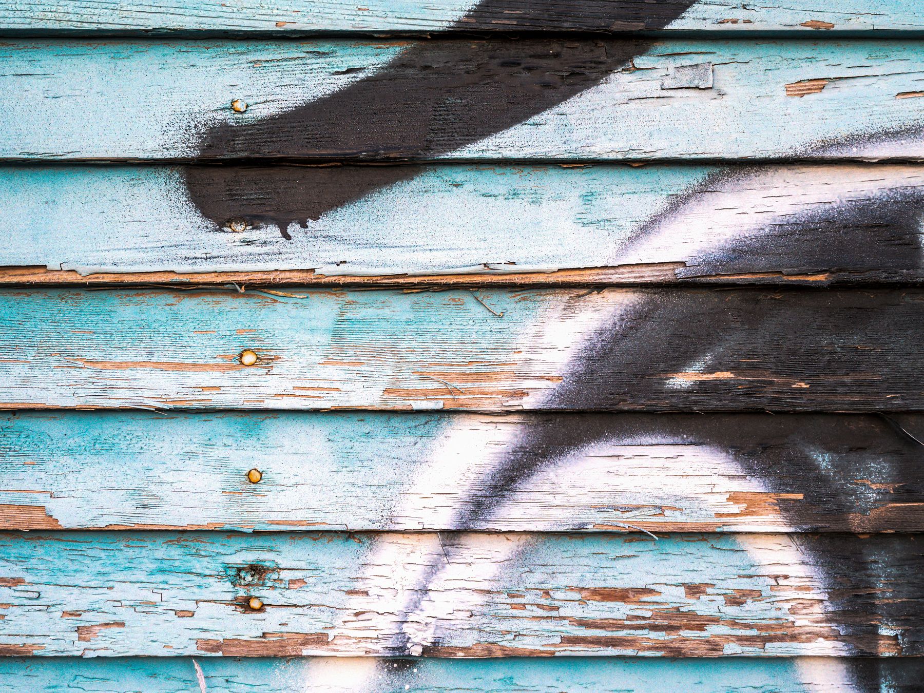 Fence and Decking Painting in South Hackney — a freshly painted, spotless finish