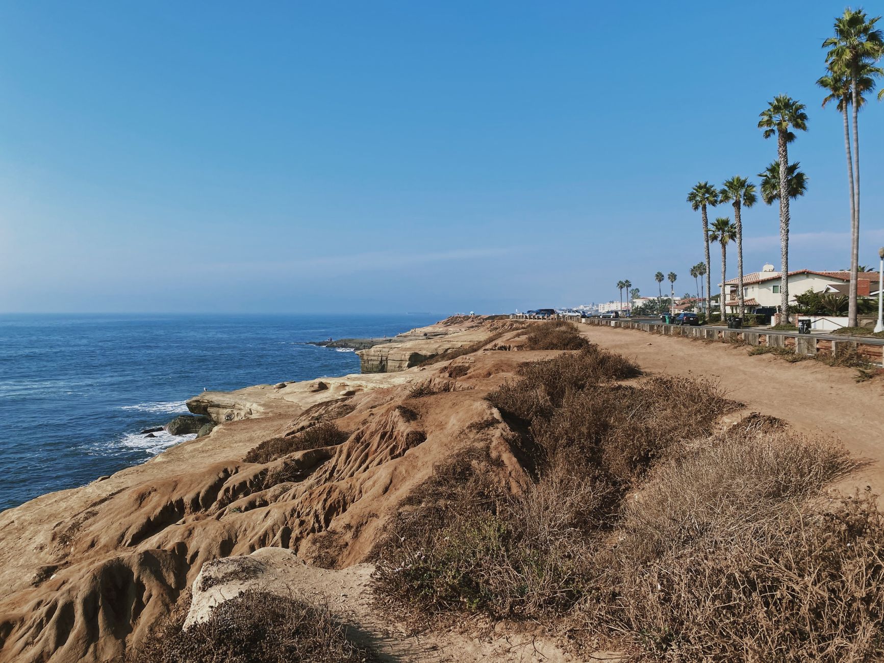 La Jolla photo 3