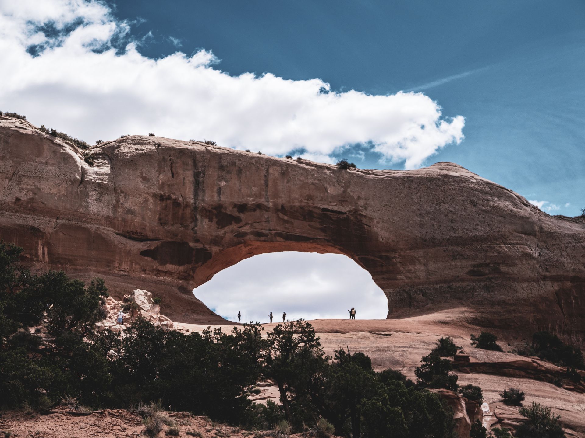 Trees and Bushes Against the Wilson Arch in Utah, USA