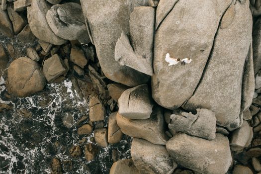 Romantic aerial shot of a couple on a large coastal rock formation at the sea's edge.