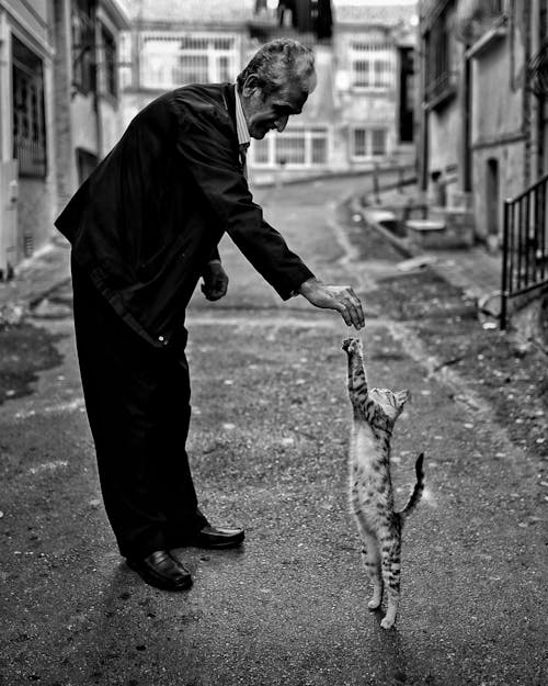 Elderly Man Playing with His Cat