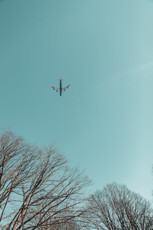 Airplane Flying over Bare Trees