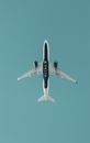 White and Black Airplane in Mid Air