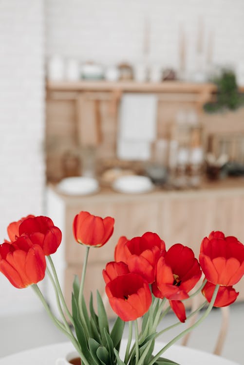 Free A Photo of Red Tulips Stock Photo