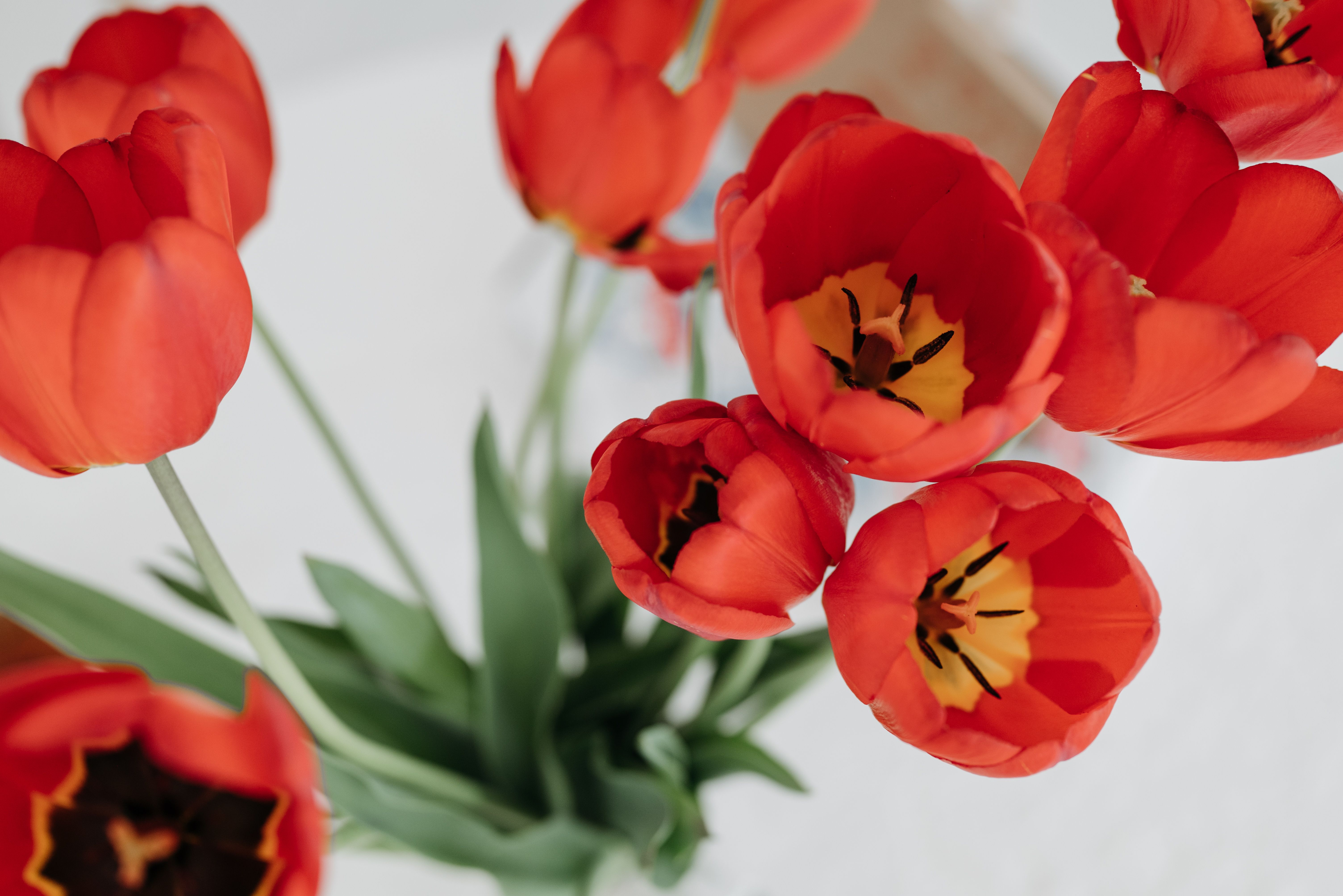 Heldere tulpen in een vaas op tafel.