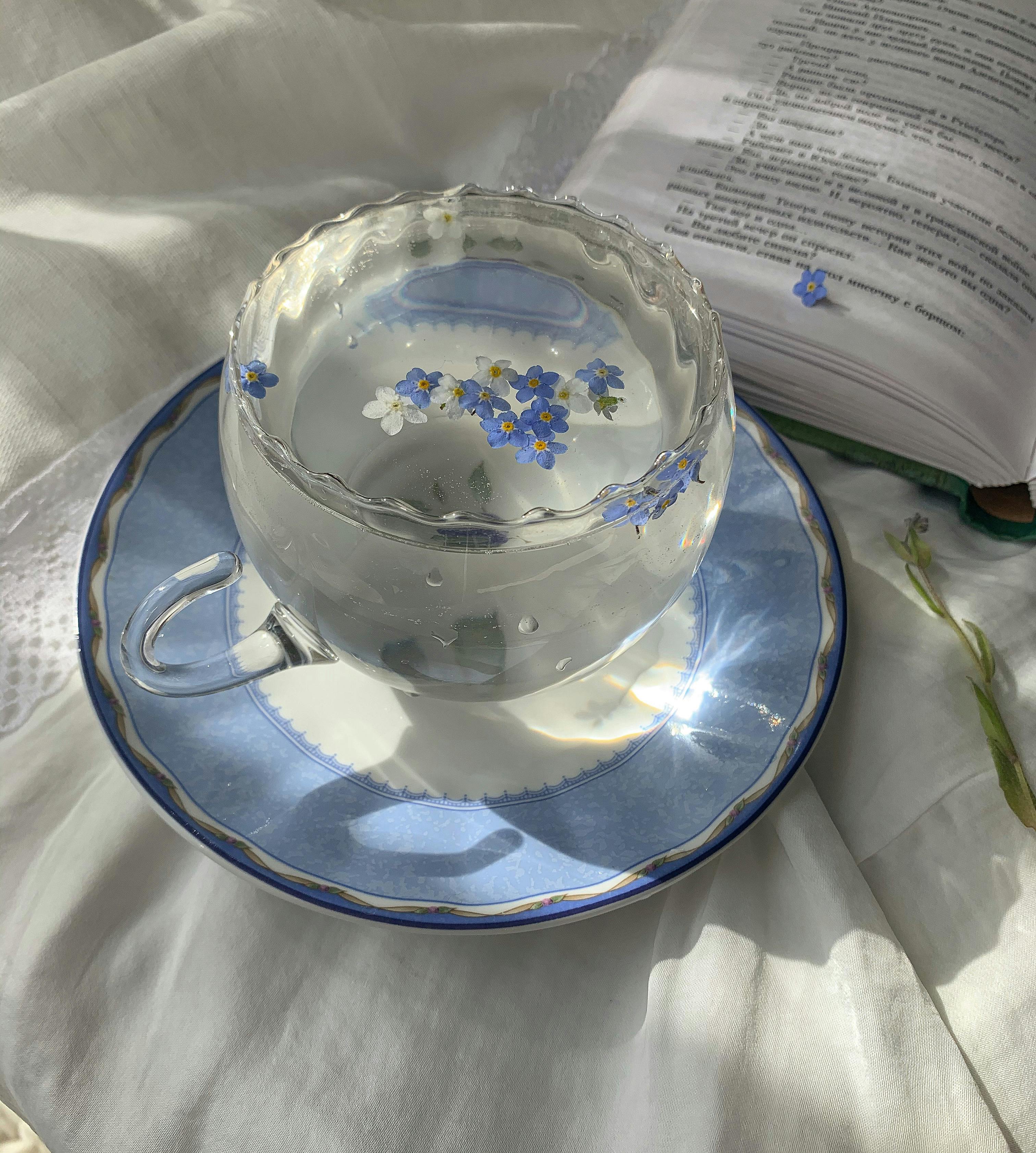 Top Reliable White Tea Suppliers