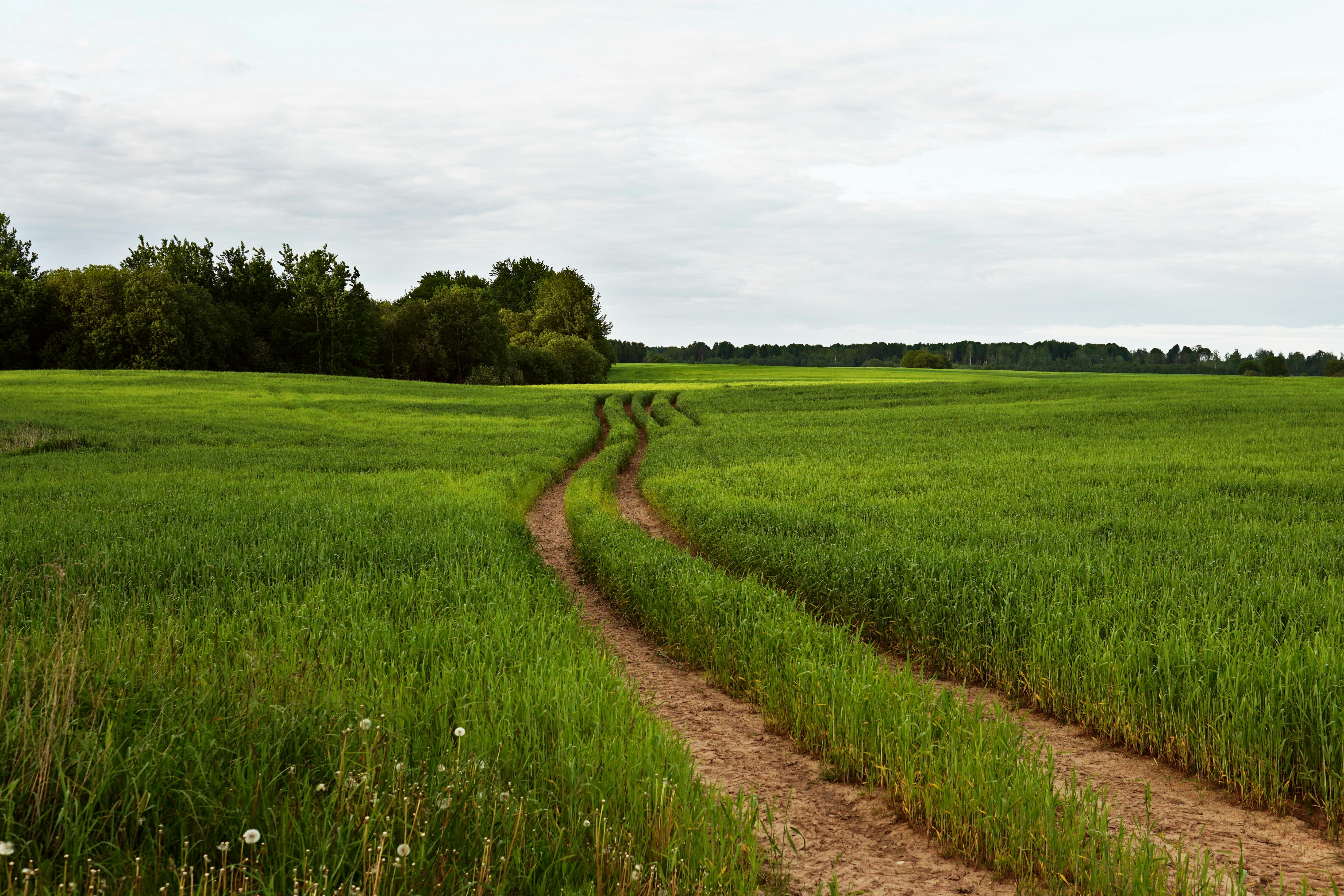 Healthspan White Paper: The Data-Driven Path to Longevity — Photo by BREAKS OUT on Pexels
