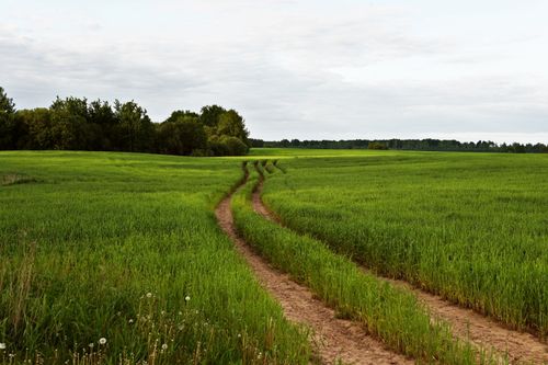 Free Serene view of a dirt path winding through a lush green field under a cloudy sky. Stock Photo