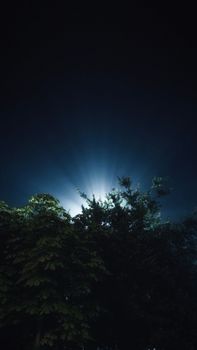 A stunning view of light beams piercing through the night sky behind silhouetted trees.