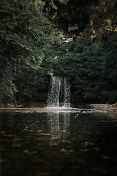 Image by Mahsima Sojoudi