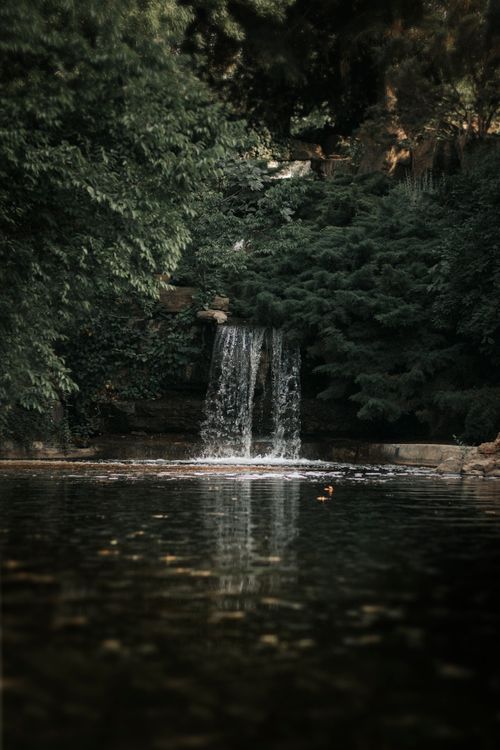 Free Tranquil waterfall surrounded by dense green foliage in Tehran, perfect for nature lovers. Stock Photo