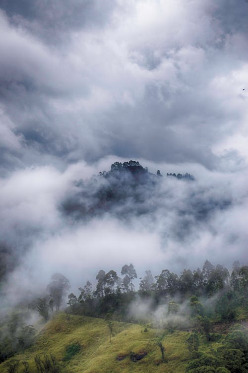 Gratis stockfoto met bewolkt, bomen, landschap