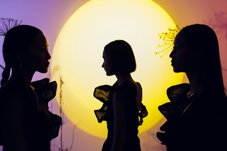 Silhouette Of Women