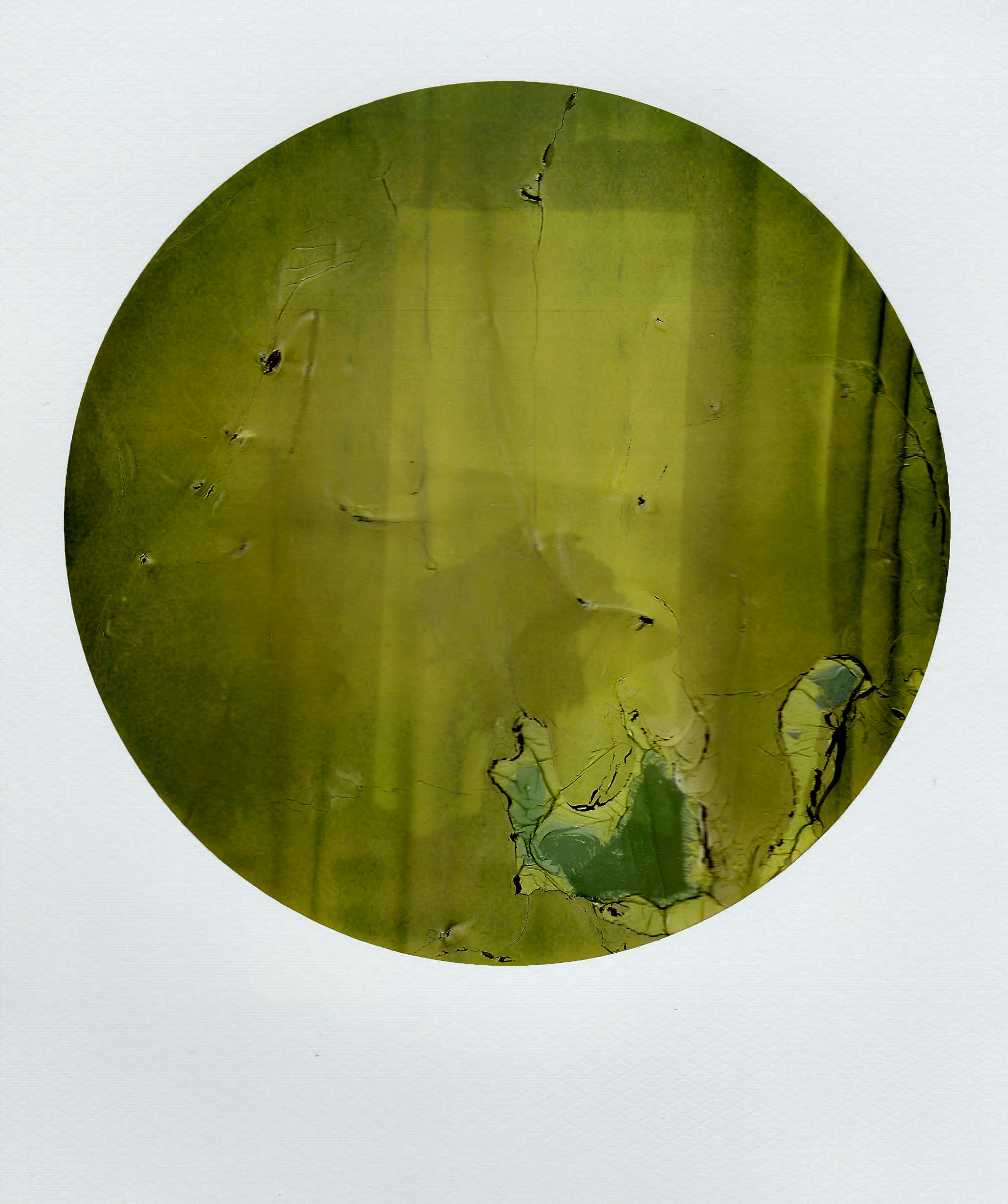 Close-up of an abstract green textured circle with cracked patterns.
