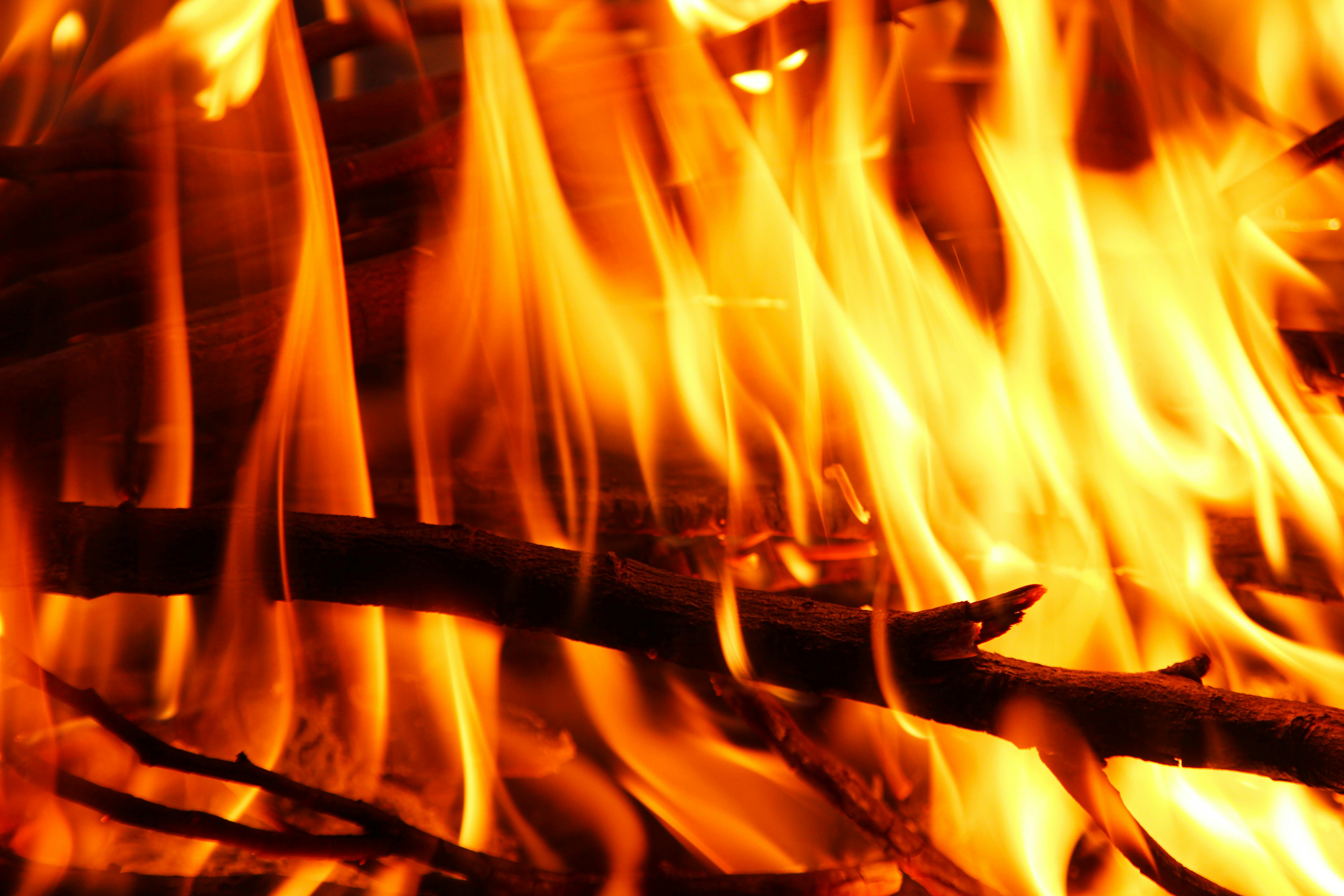 Burning fire on black background · Free Stock Photo