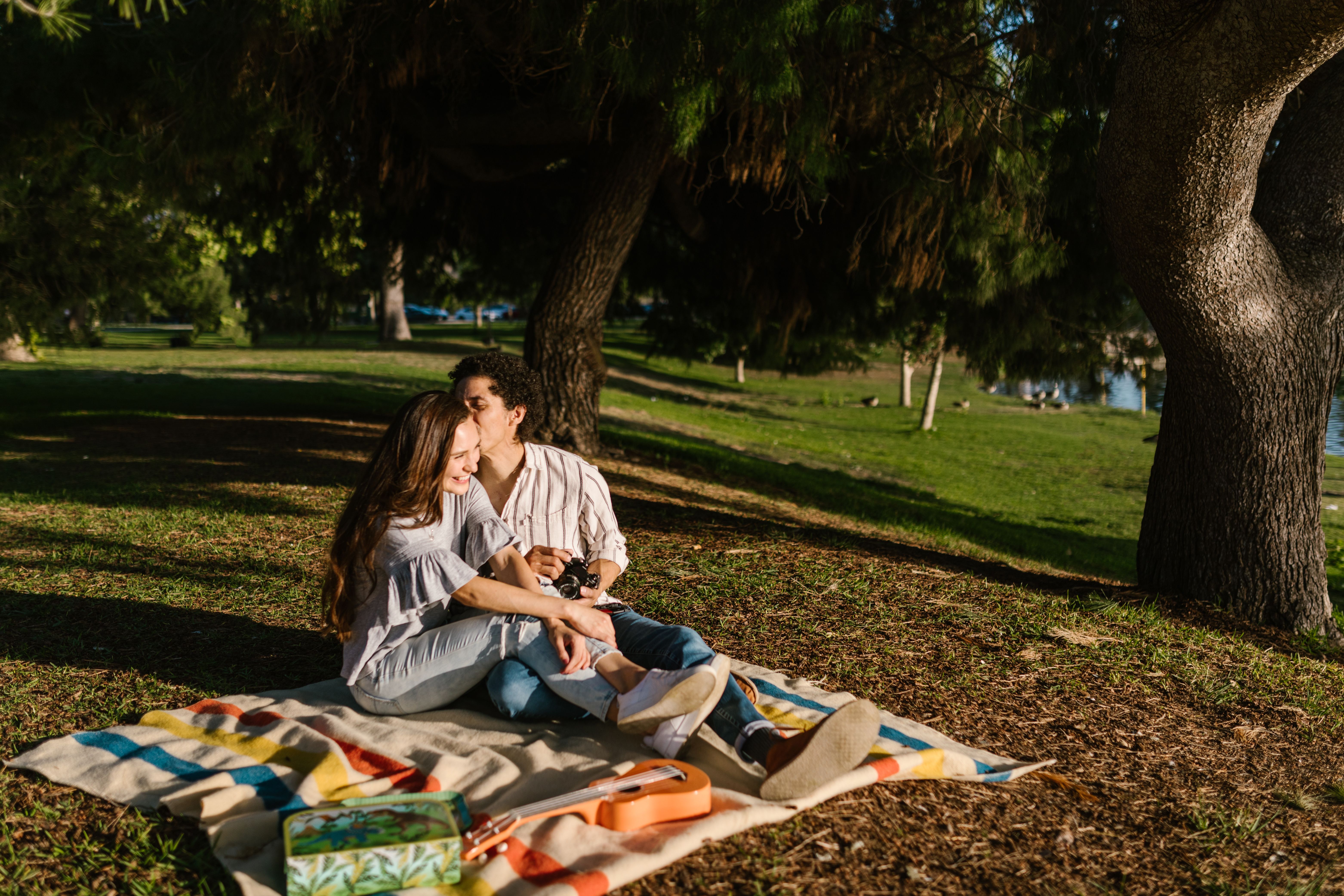 Picnic Grove
