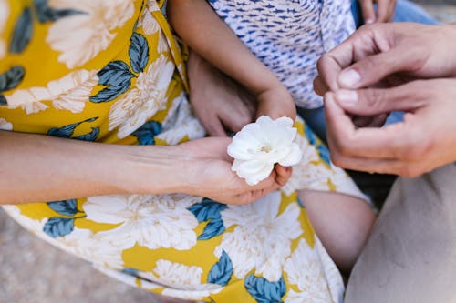 A Person Holding a White Flower