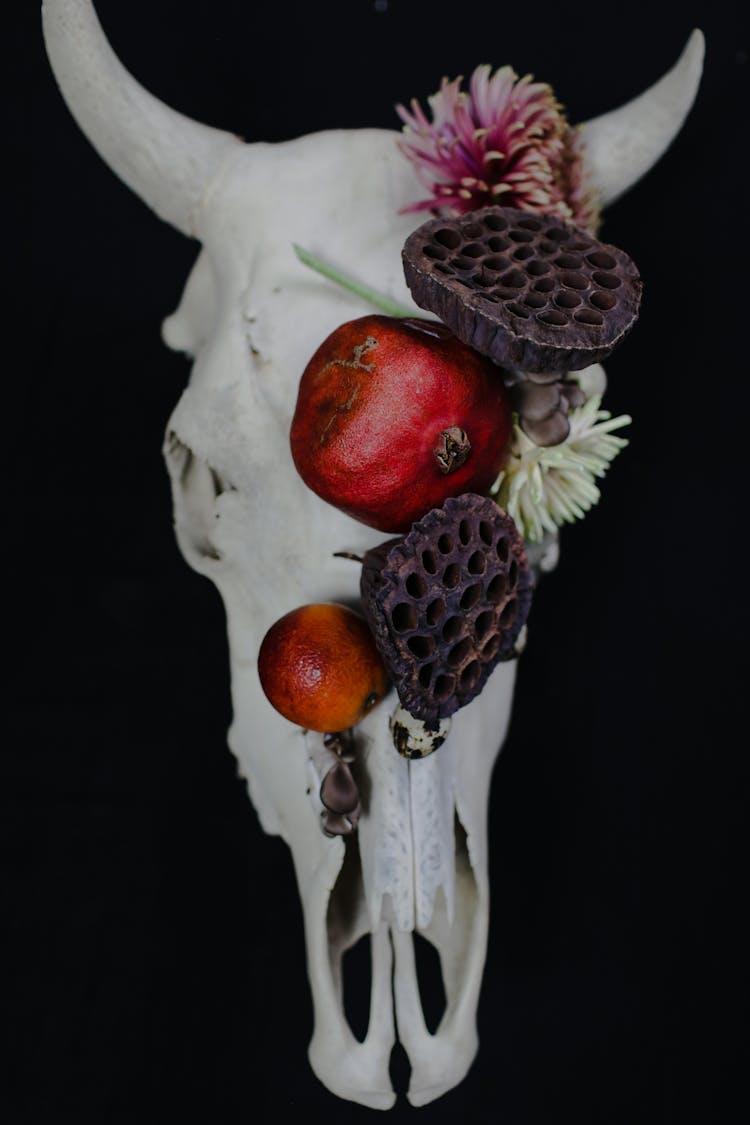 Cow Skull Decorated With Fruits And Flowers