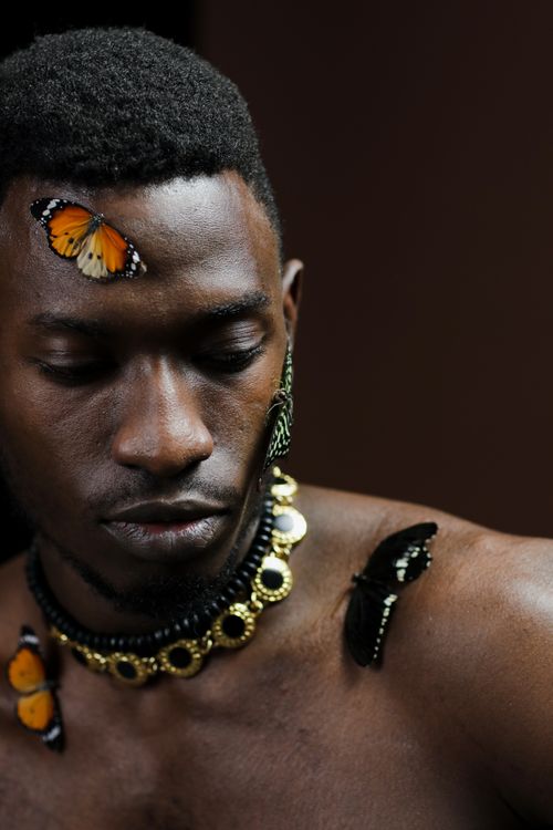 Free A captivating portrait of a shirtless man adorned with butterflies and a stylish necklace. Stock Photo