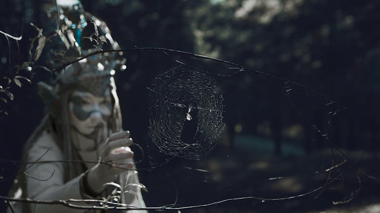 Spider Web In Front Of A Person Wearing A Costume