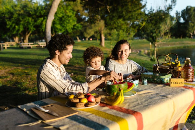 A Family Having Picnic Together 