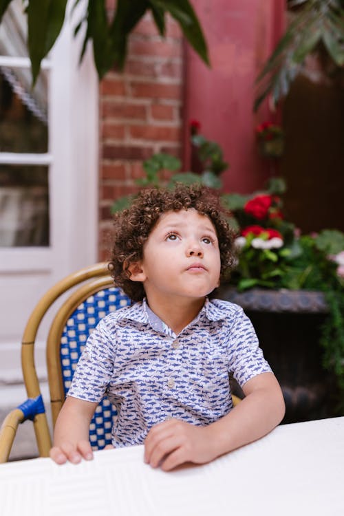 Gratis stockfoto met gekruld haar, jongen, kid