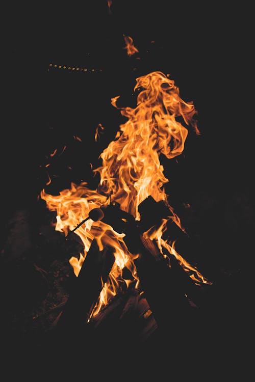 Imagine de stoc gratuită din bezea, foc de lemne, în direct