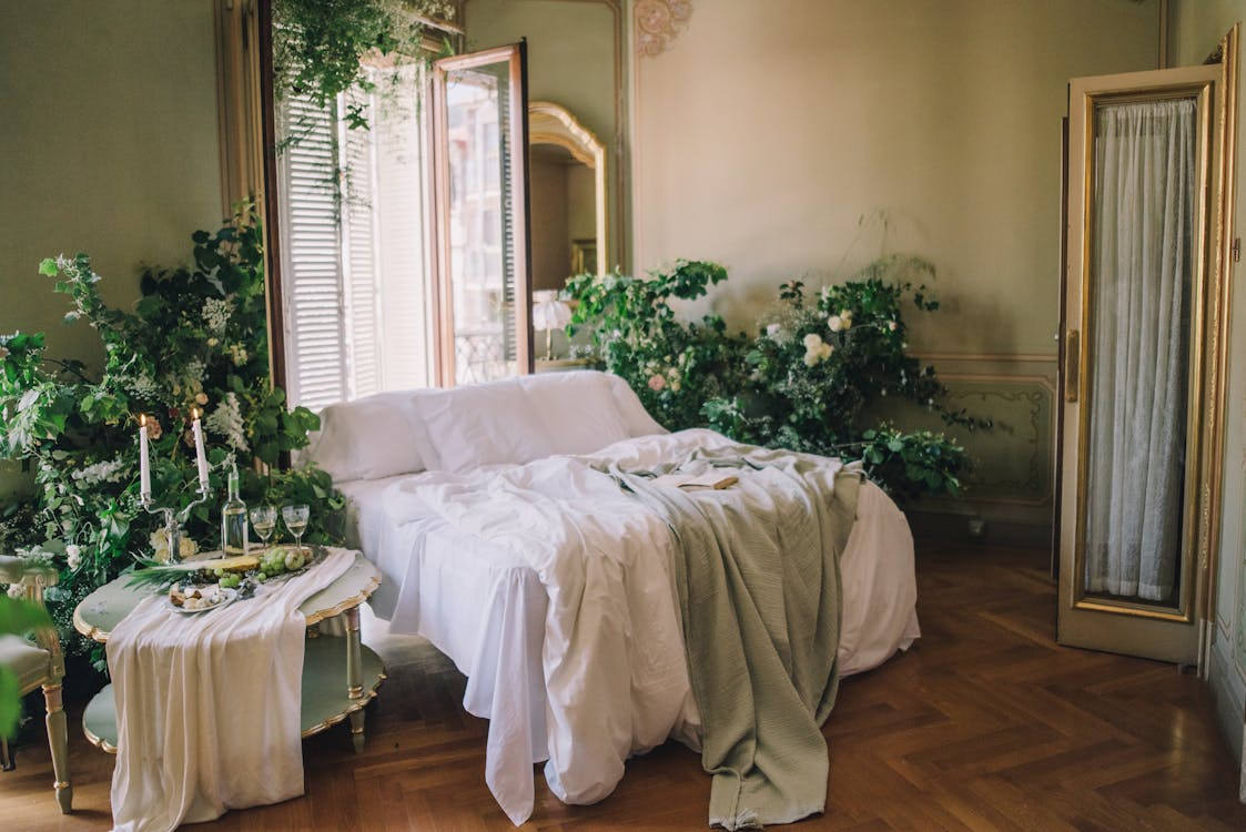 Free Green Plants Near the Bed Stock Photo