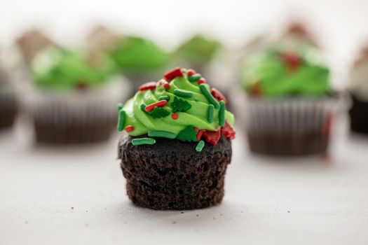 Chocolate cupcakes topped with festive green frosting and sprinkles. Perfect for holiday celebrations.