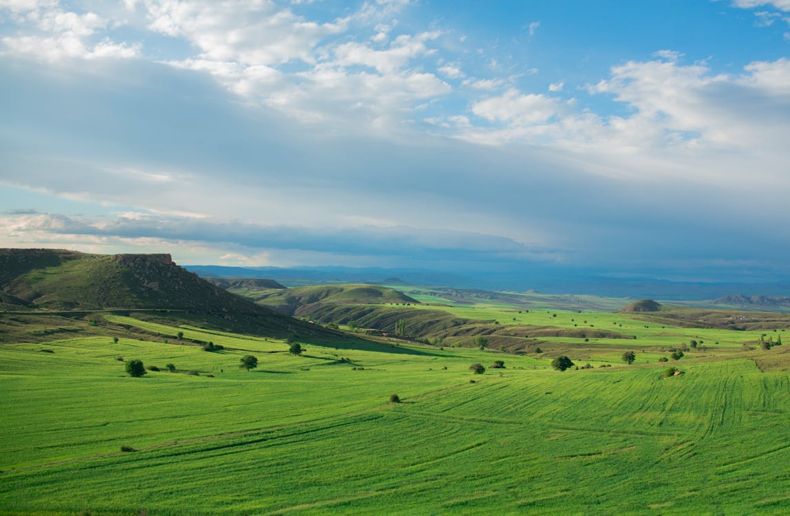 Imagine de stoc gratuită din câmp, cer albastru, deal