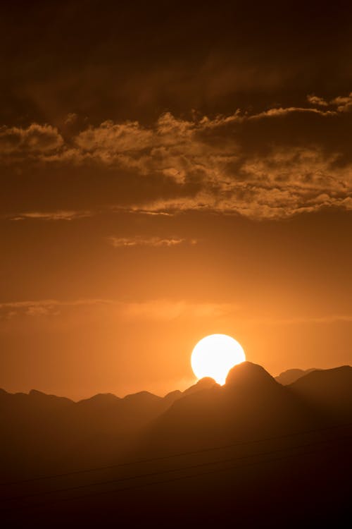 垂直ショット, 太陽, 太陽が降りるの無料の写真素材