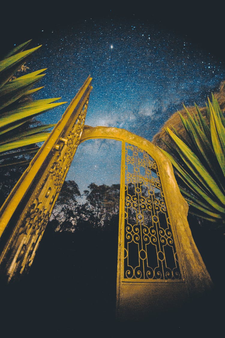 Golden Gates Against Starry Night Sky