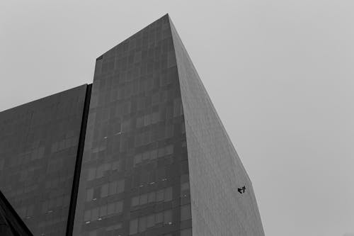 Monochrome Photograph of a High-Rise Building with Glass Windows