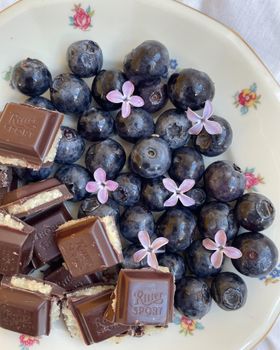 Close-up of blueberries, chocolate, and small purple flowers on floral plate.