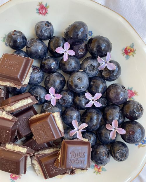 Free Close-up of blueberries, chocolate, and small purple flowers on floral plate. Stock Photo