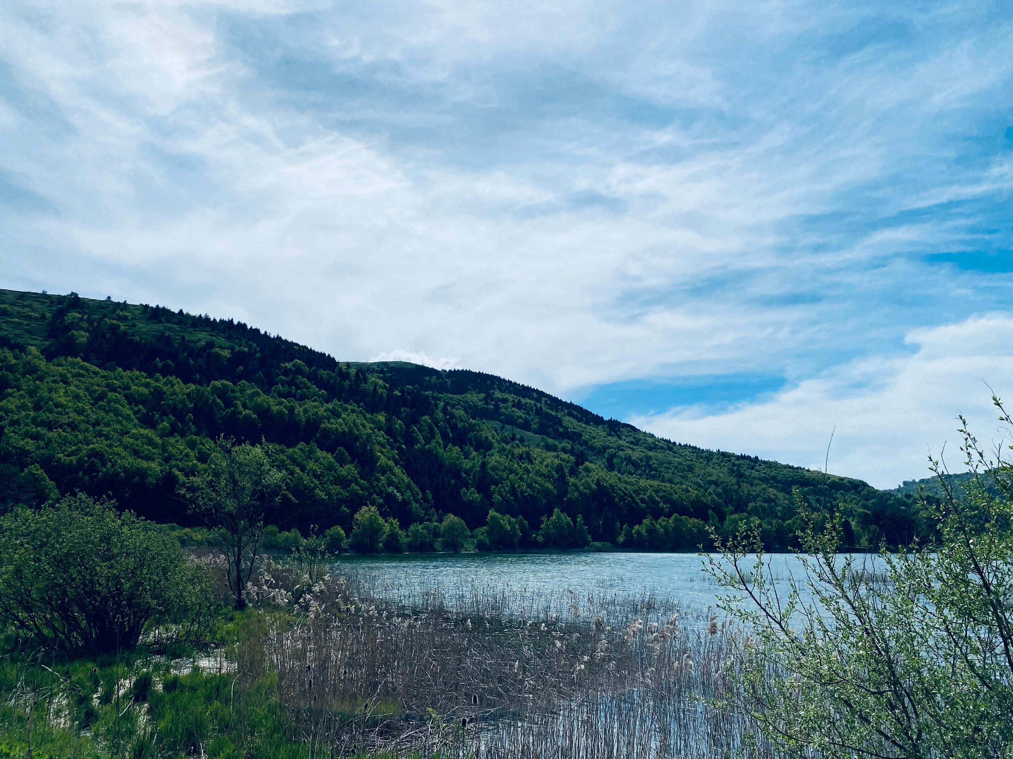 Small prepared meal containers filled with balanced high-protein, colorful food